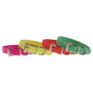 Leather Brothers® 100A-20GN Zeta Regular Collar, 1 inch x 20 inch, Green, For Small Dog