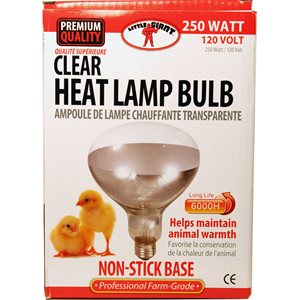 Miller Little Giant® 170031 Clear Heat Lamp Bulb, 250 W