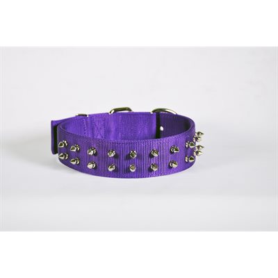 Collar 1 3 / 4" x 16" Spike Purple