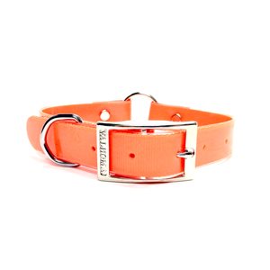 Collar 1" x 20" Plastic Center Ring Hot Orange
